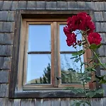 Schindlhaus * 格罗萨尔